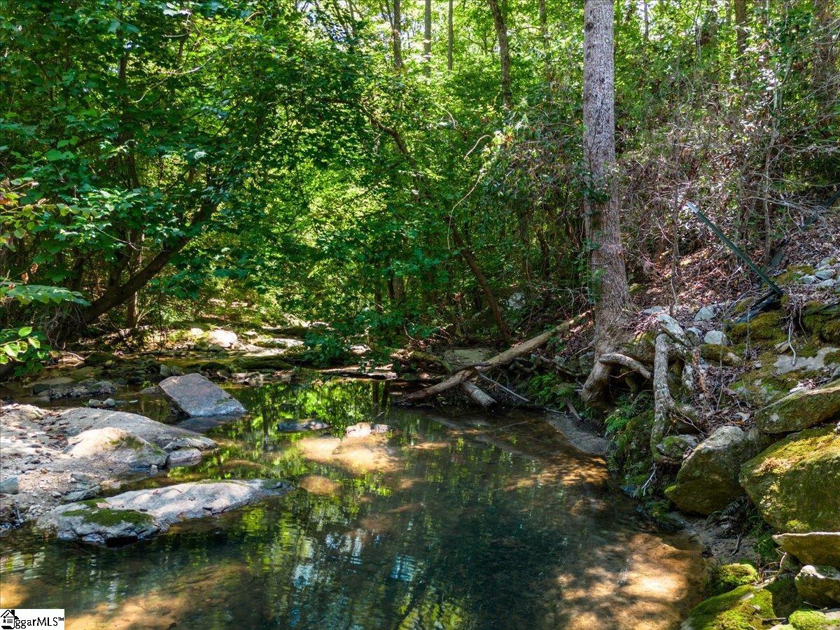 17-xx Thompson Road Fountain Inn, SC 29644 - Photo 4 of 20