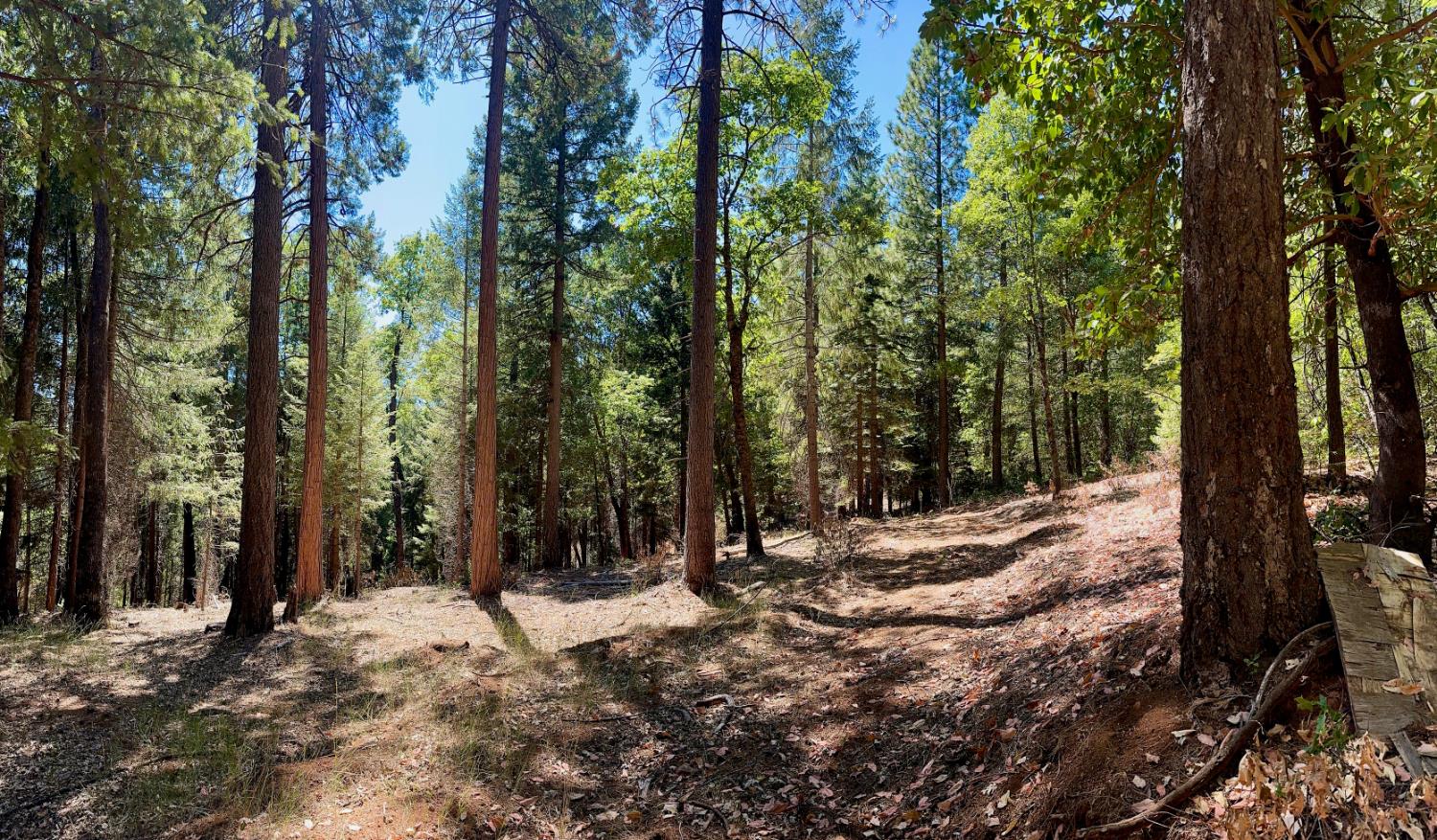 12755 Red Dog Road Nevada City, CA 95959 - Photo 11 of 17 a view of outdoor space and yard