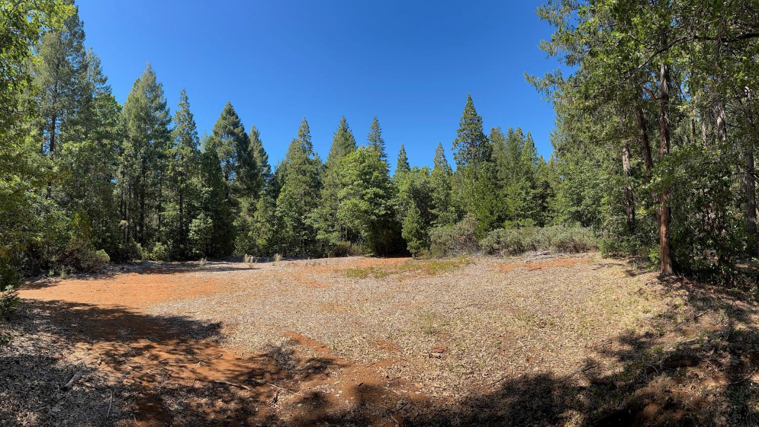 12755 Red Dog Road Nevada City, CA 95959 - Photo 12 of 17 a view of a yard with a tree