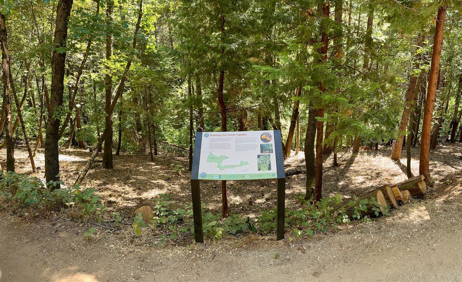 12755 Red Dog Road Nevada City, CA 95959 - Photo 14 of 17 a sign board with tall trees