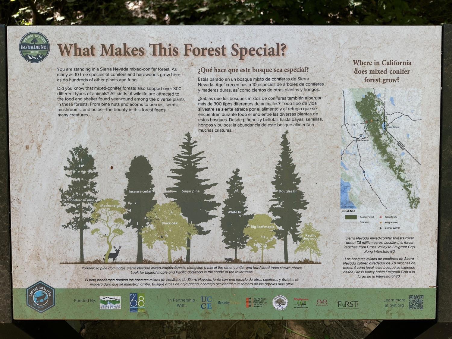 12755 Red Dog Road Nevada City, CA 95959 - Photo 15 of 17 a view of a wooden floor