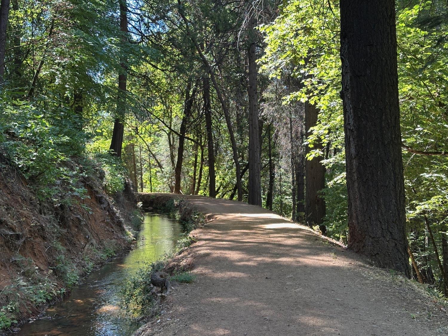 12755 Red Dog Road Nevada City, CA 95959 - Photo 5 of 17 a view of a back yard