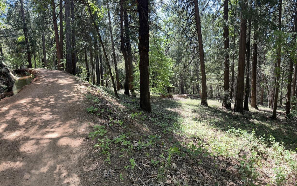 12755 Red Dog Road Nevada City, CA 95959 - Photo 6 of 17 a view of outdoor space and trees