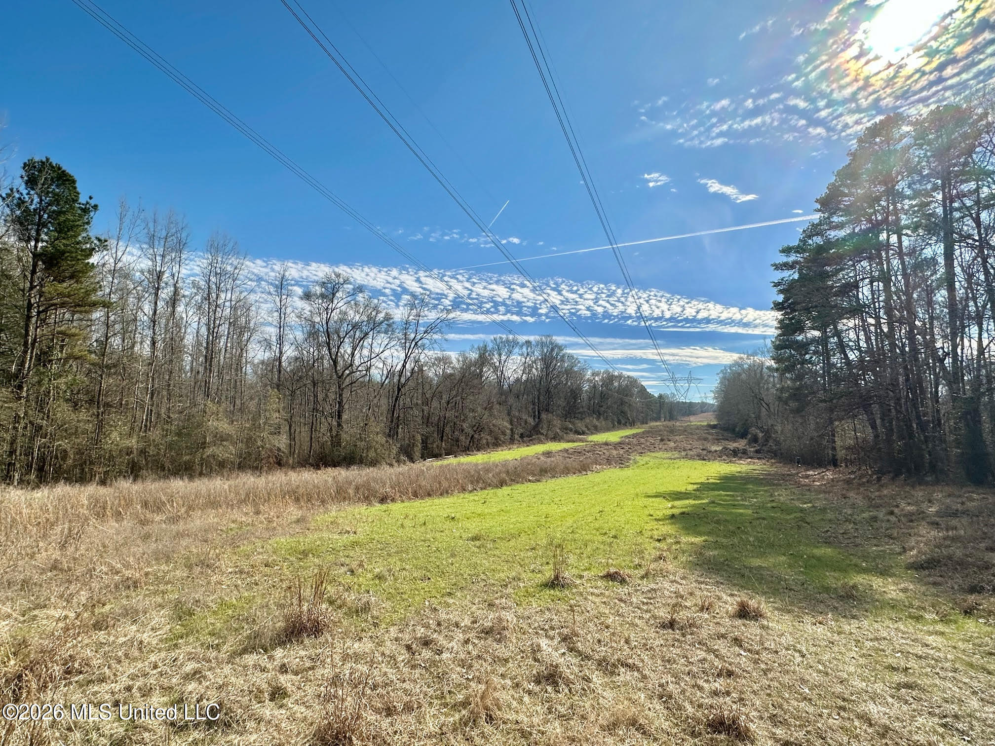 1 Dry Grove Road Terry, MS 39170 - Photo 13 of 30 642 - Copy