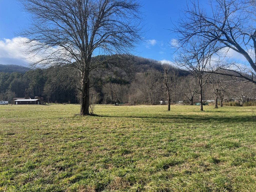3 Riverside Meadows Hiawassee, GA 30546 - Photo 6 of 22