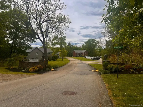 a view of a park with large trees