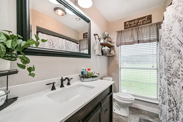 a bathroom with a sink a toilet and a mirror
