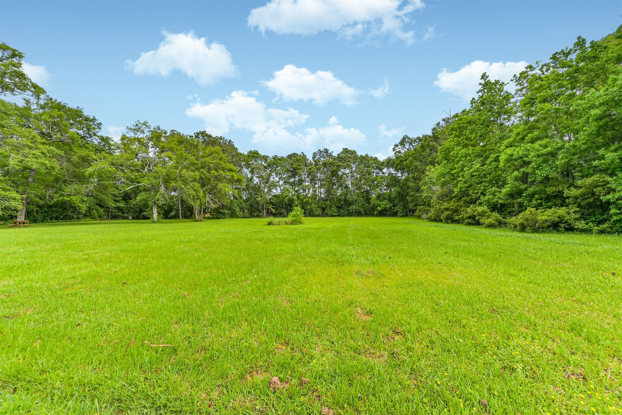 26925 Brentwood Road Splendora, TX 77372 - Photo 7 of 30 a view of yard with green space