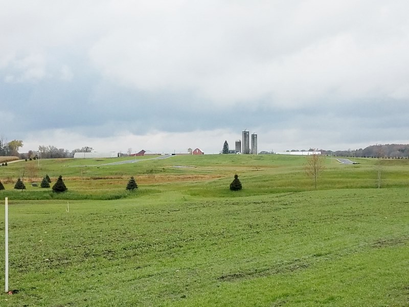 L3 Blue Victoria Sun Prairie, WI 53590 - Photo 4 of 21