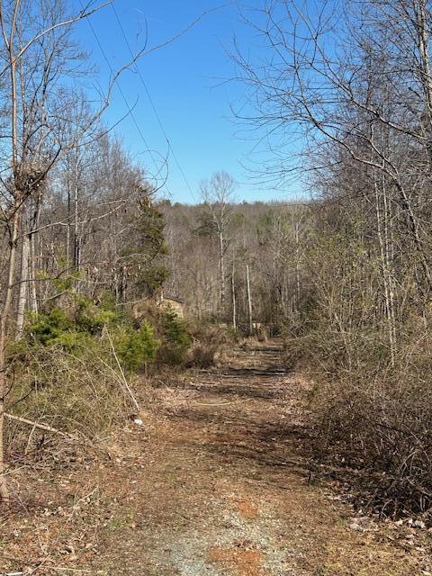 0 Hollyfield Road Rocky Mount, VA 24151 - Photo 4 of 13 a view of a dry yard with trees