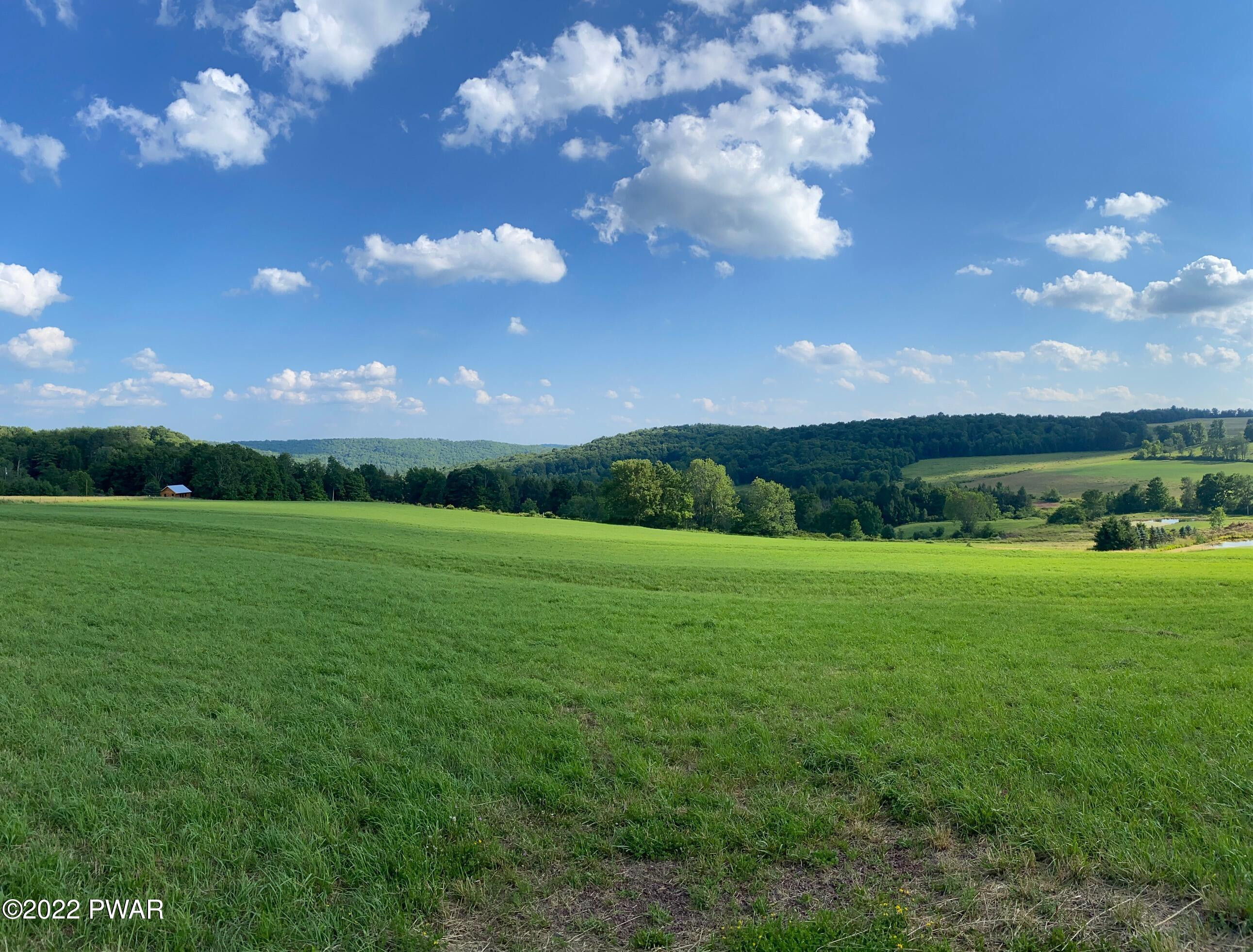 Calkins Road Milanville, PA 18443 - Photo 2 of 30