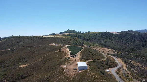 a view of a dry yard with trees