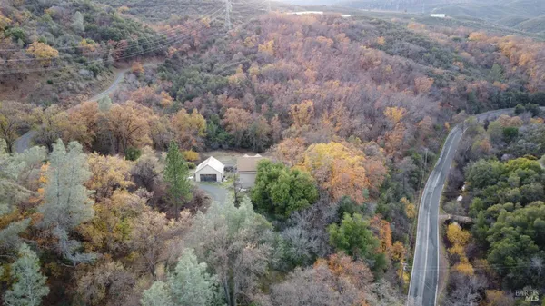 a picture of trees