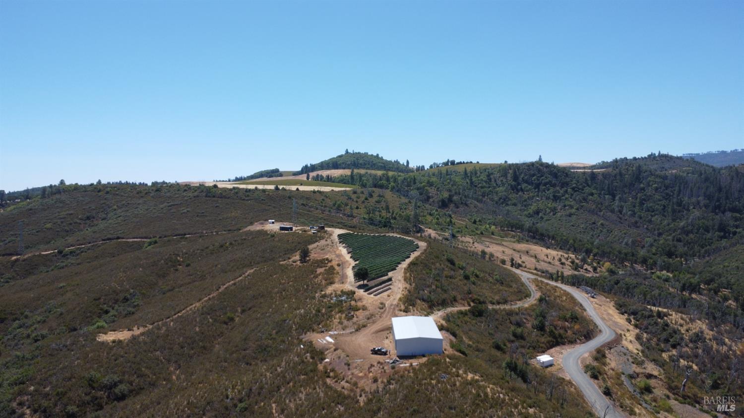 13200 Seigler Canyon Road Lower Lake, CA 95457 - Photo 6 of 30 a view of a dry yard with trees