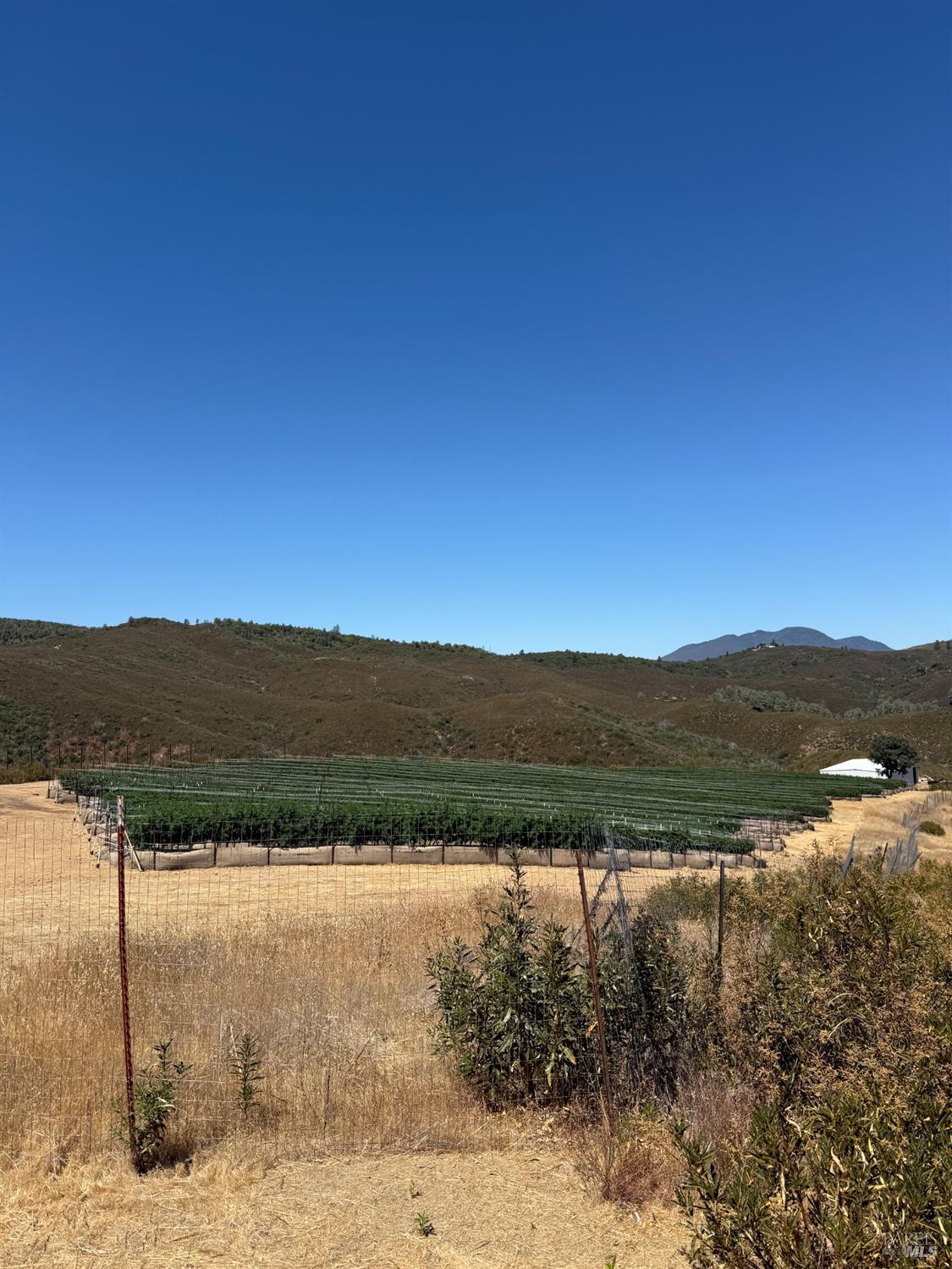 13200 Seigler Canyon Road Lower Lake, CA 95457 - Photo 8 of 22