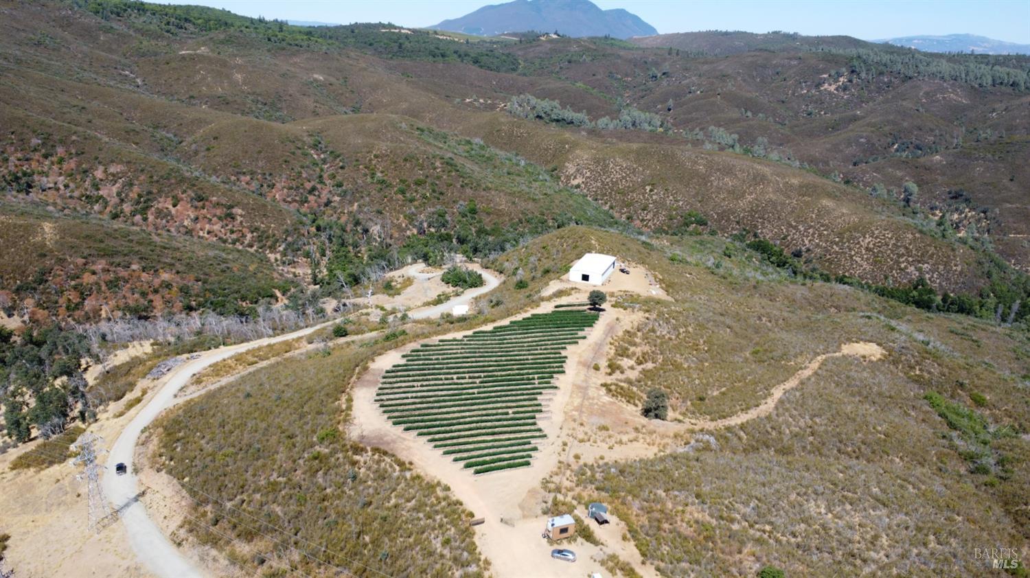 13200 Seigler Canyon Road Lower Lake, CA 95457 - Photo 9 of 30 a view of a wooden floor and a mountain view