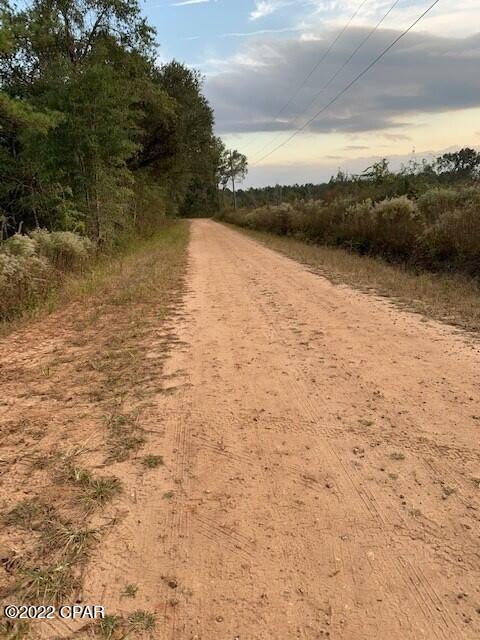 605 Mine Road Midway, FL 32343 - Photo 13 of 17 Gallery Image 13