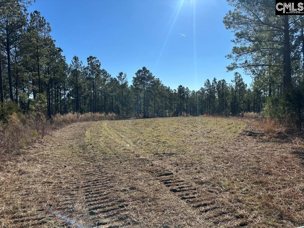 River Road Winnsboro, SC 29180 - Photo 13 of 20
