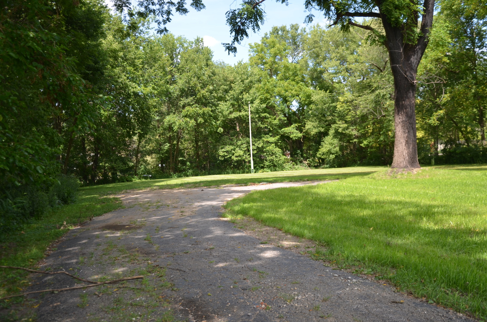 a view of green field with trees in the background