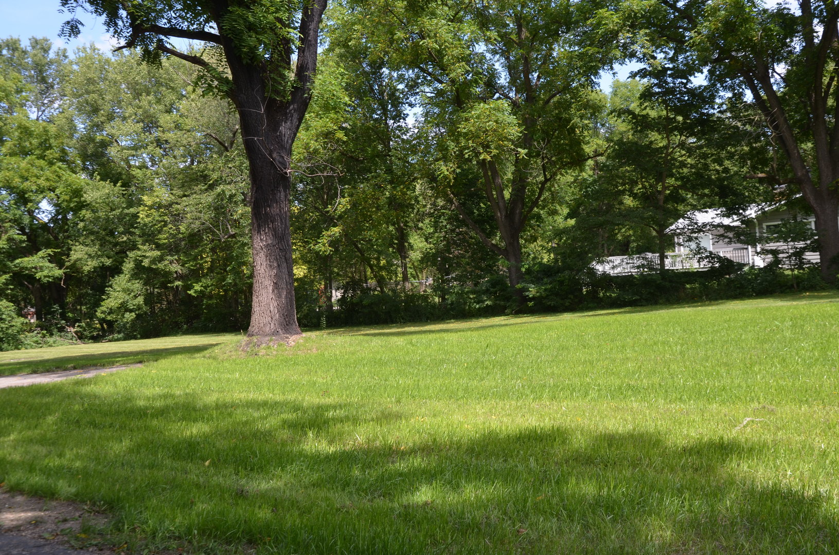170 Chicago Road Oswego, IL 60543 - Photo 2 of 9 a view of outdoor space with deck and yard