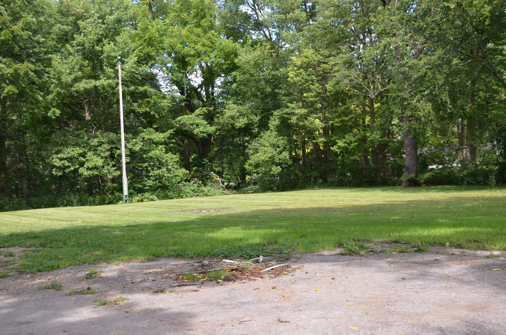 170 Chicago Road Oswego, IL 60543 - Photo 3 of 9 a view of a field with a tree