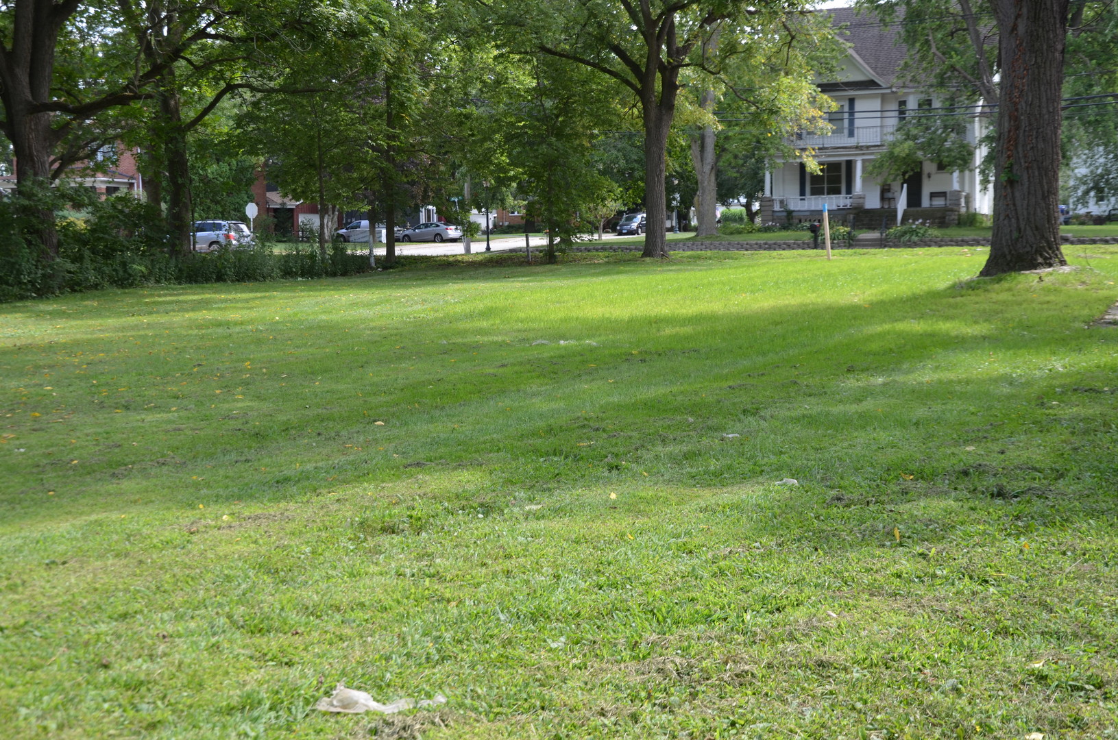170 Chicago Road Oswego, IL 60543 - Photo 5 of 9 a view of a house with a big yard