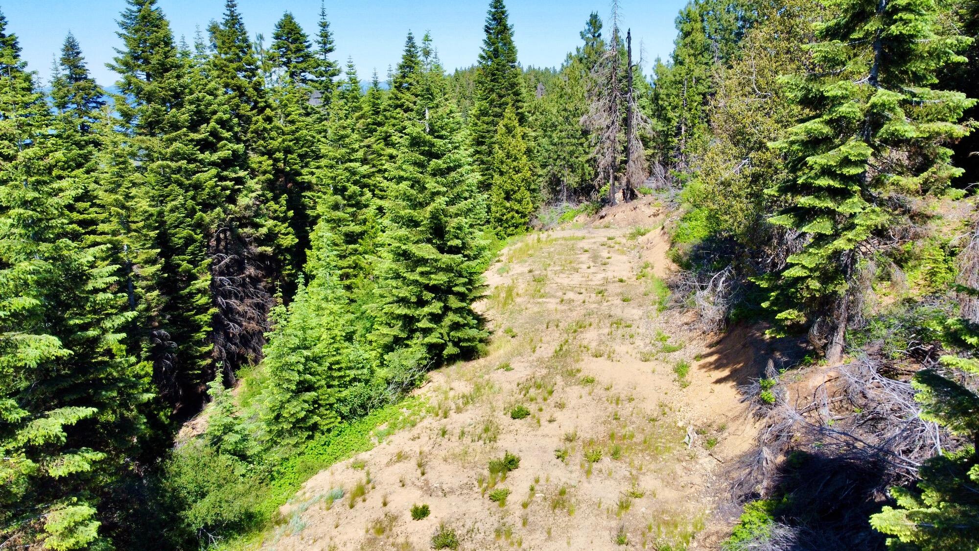 40-acres 40-acres Ammon Ridge Road Willow Creek, CA 95573 - Photo 12 of 28