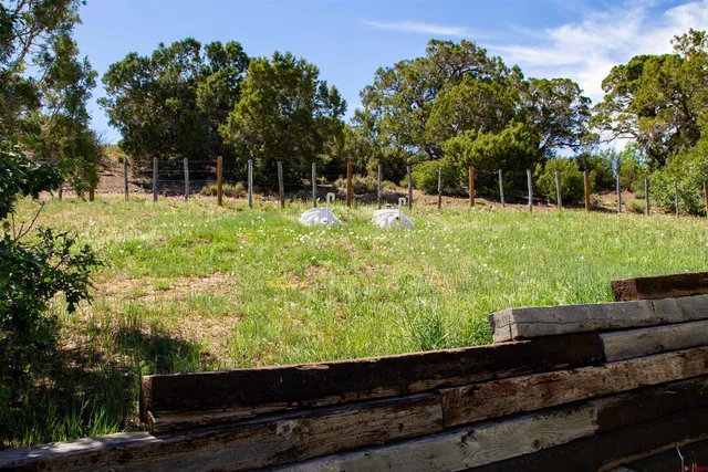 $985,000 | 28429 H 4 Road, Norwood, CO 81423