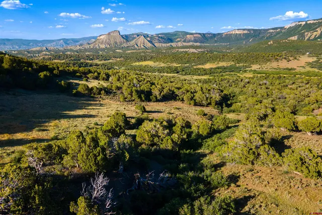 $985,000 | 28429 H 4 Road, Norwood, CO 81423