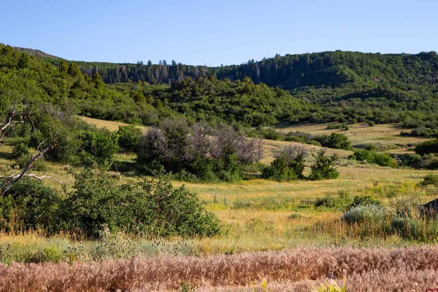 $985,000 | 28429 H 4 Road, Norwood, CO 81423