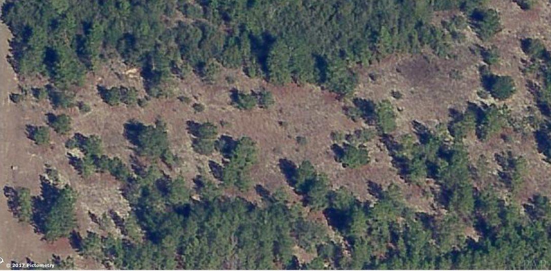 8.36 King Ranch Road Milton, FL 32583 - Photo 3 of 3