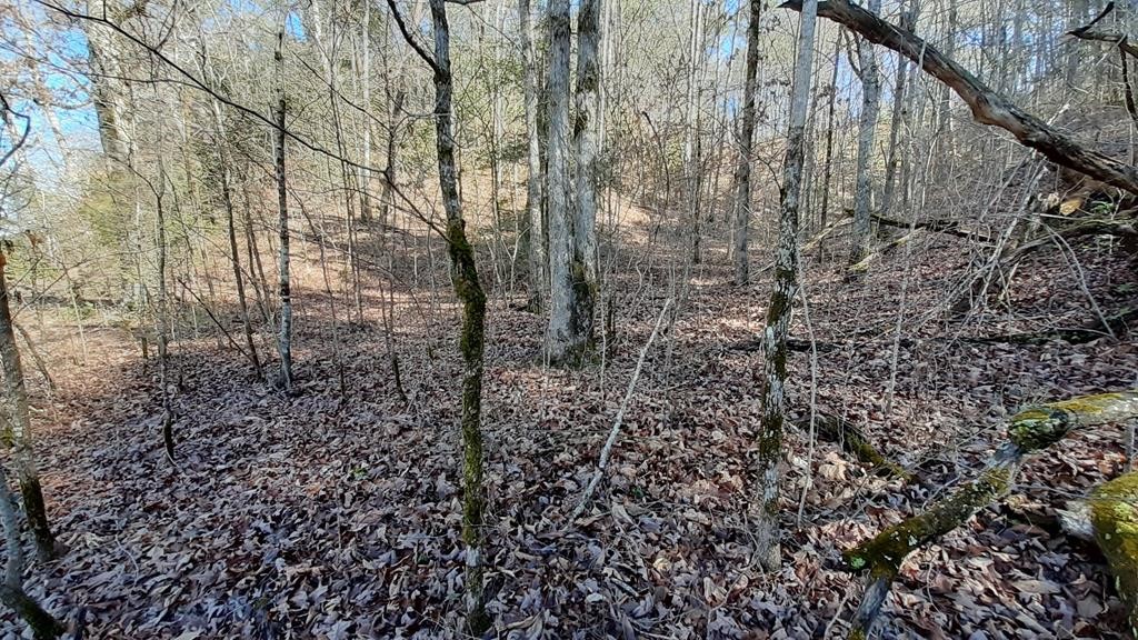 2 Pine Mountain Road Pigeon Forge, TN 37863 - Photo 4 of 12 Gallery Image 4