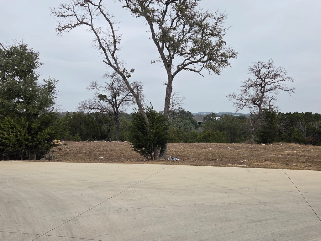 167 Gaucho Way Dripping Springs, TX 78620 - Photo 2 of 4 a view of dirt field with large trees