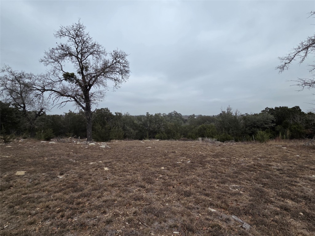 167 Gaucho Way Dripping Springs, TX 78620 - Photo 3 of 4 a view of dirt field with trees