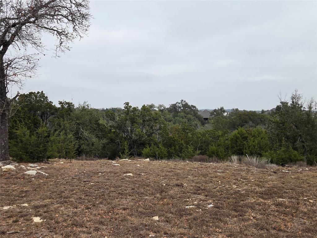 167 Gaucho Way Dripping Springs, TX 78620 - Photo 4 of 4 a view of a dry yard with trees