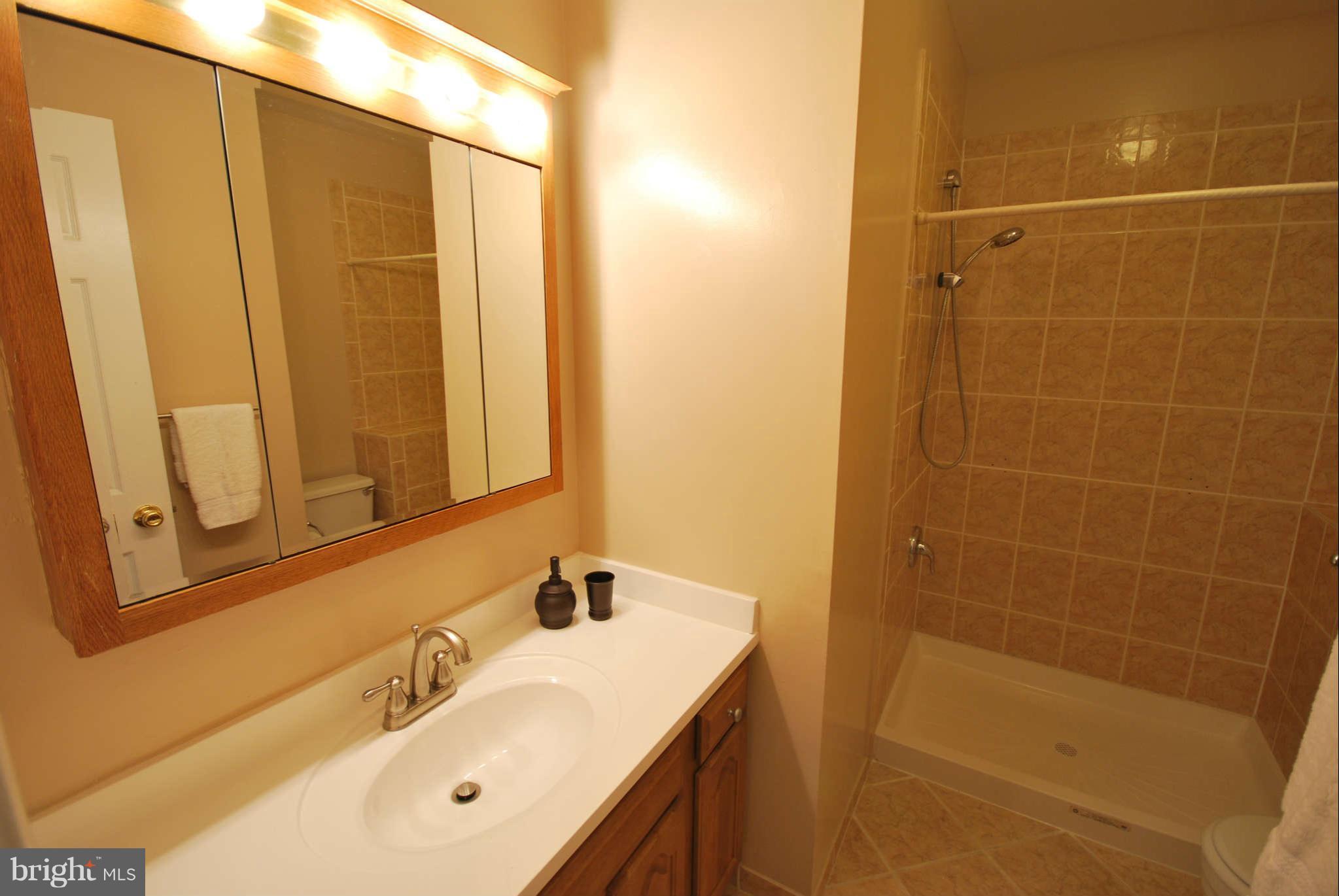 13616 Turnmore Road Silver Spring, MD 20906 - Photo 19 of 30 Bath