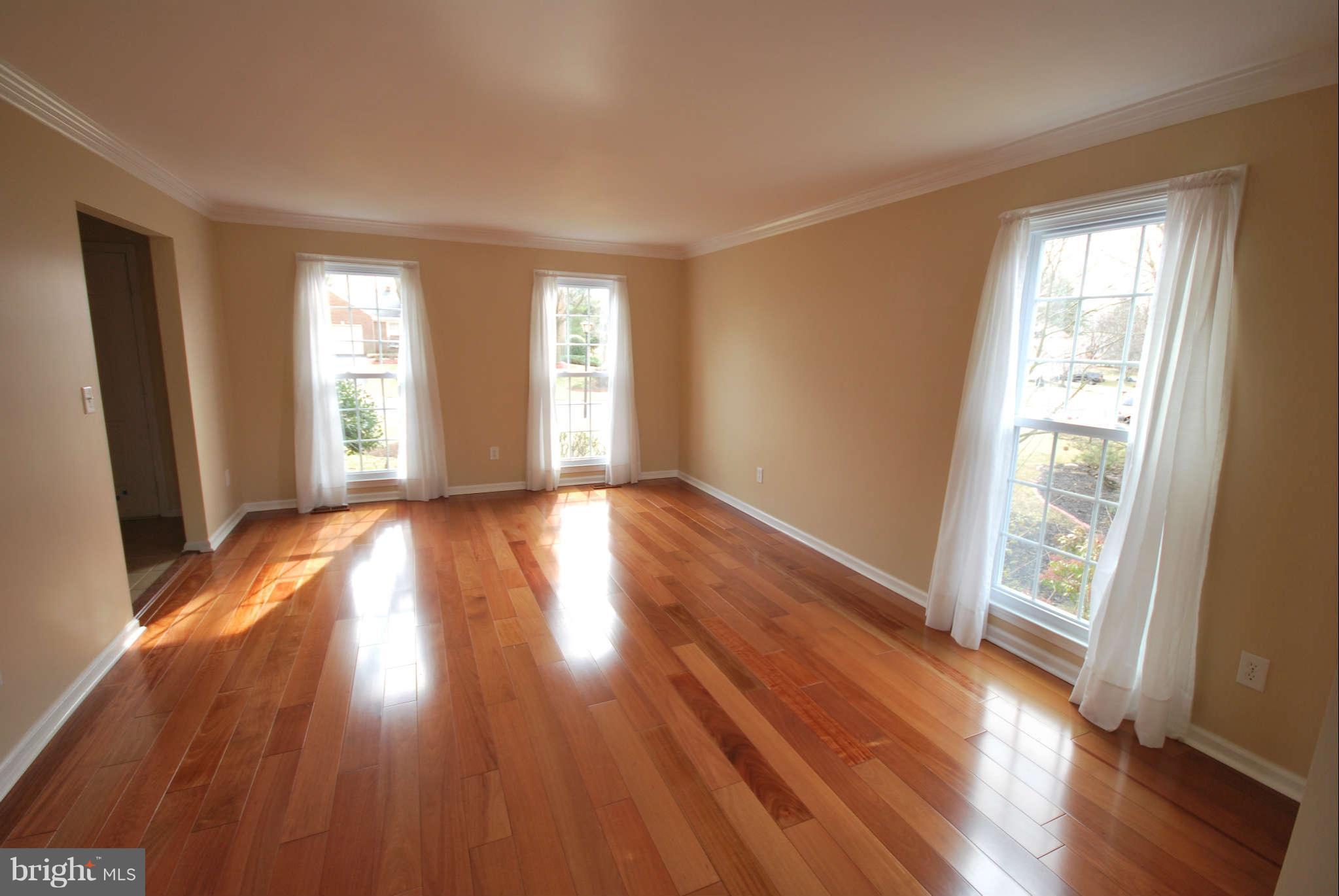 13616 Turnmore Road Silver Spring, MD 20906 - Photo 4 of 30 Living Room