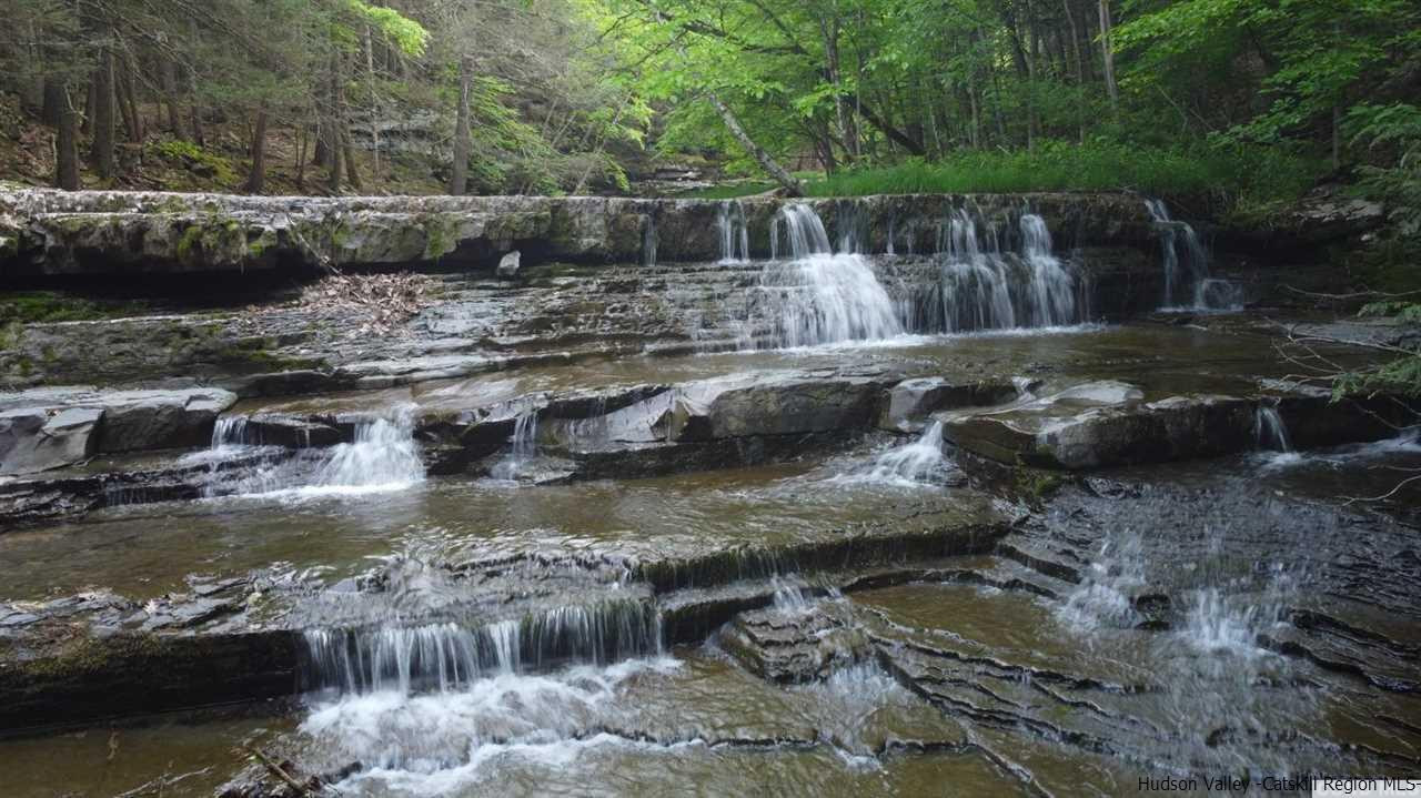 145 Route Durham Ny 12422 Durham, NY 12422 - Photo 1 of 7 a view of a water pond with green trees