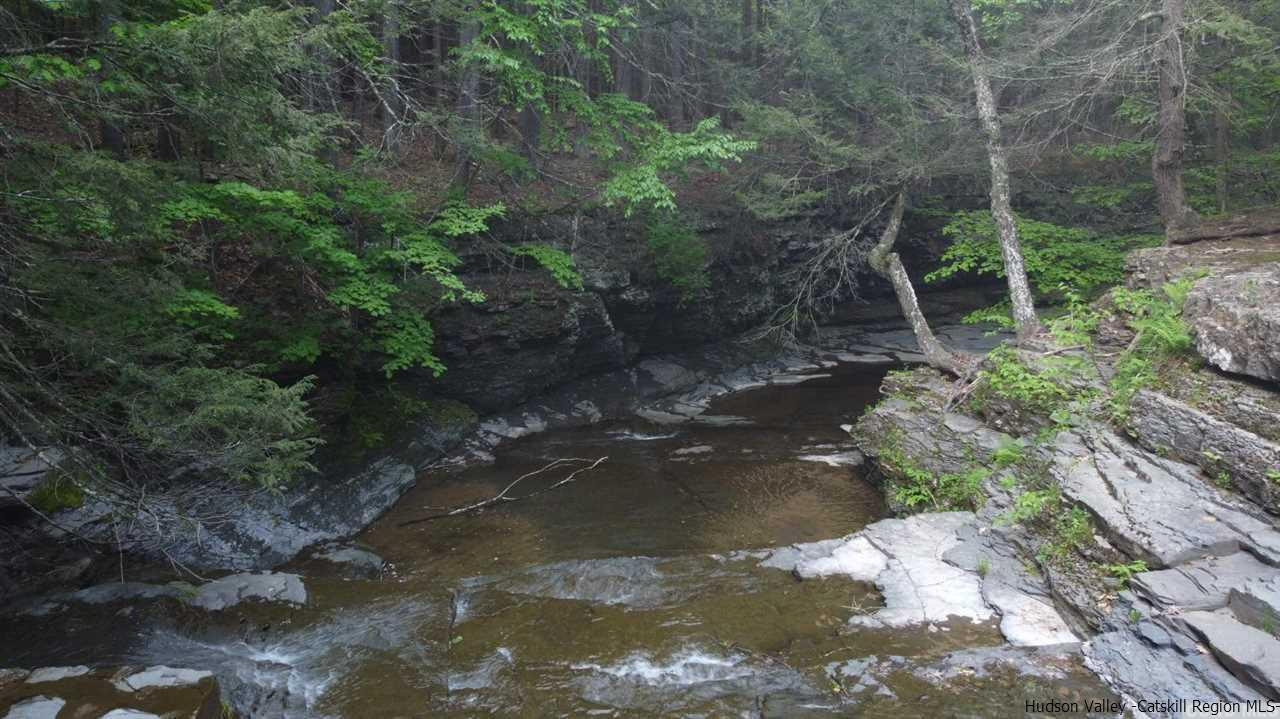 145 Route Durham Ny 12422 Durham, NY 12422 - Photo 3 of 7 a backyard of a house with lots of green space