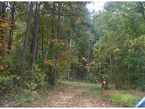 9930 Midas Springs Road Huntersville, NC 28078 - Photo 1 of 1 Gallery Image 1