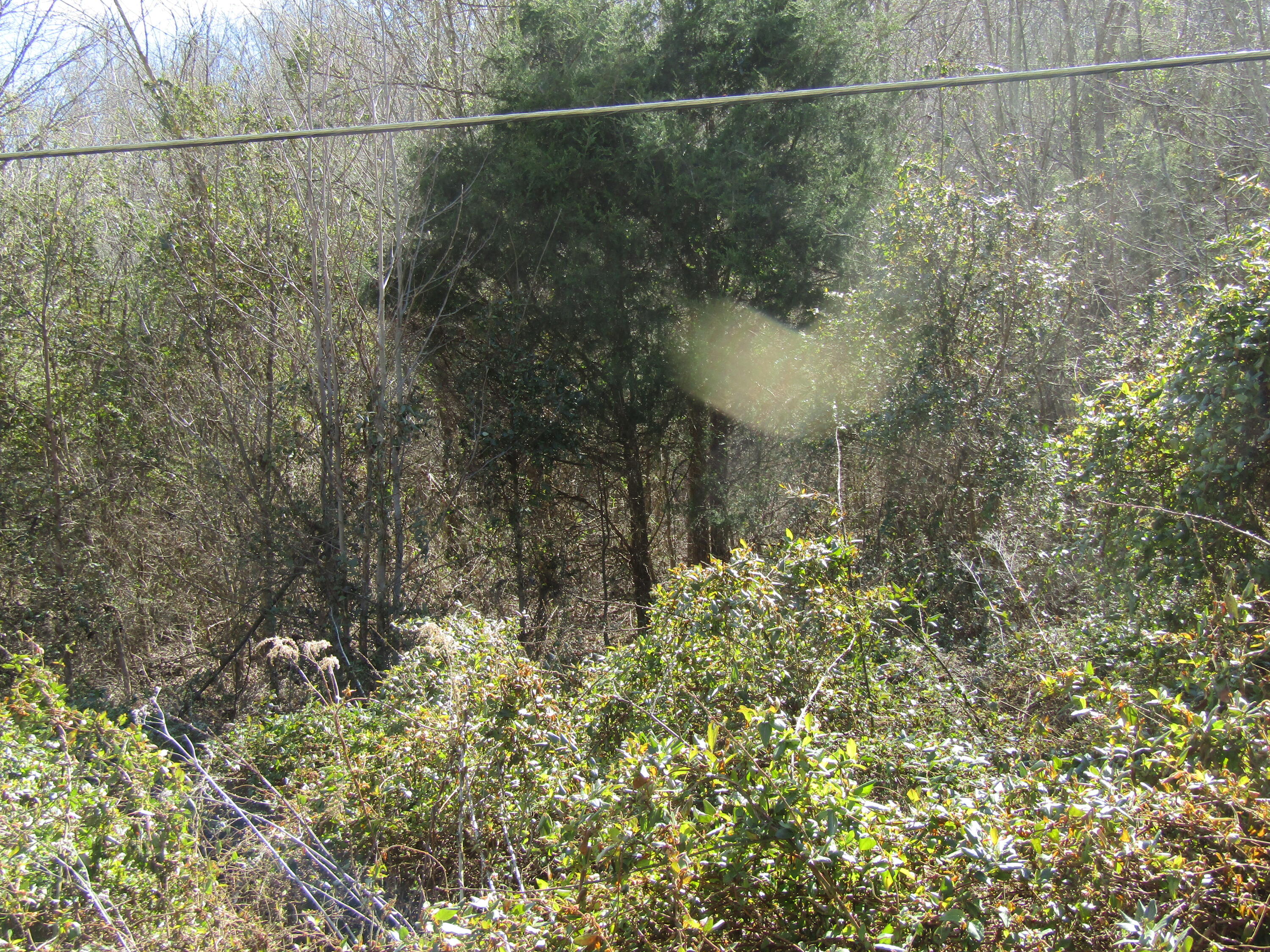 Lot # Davis Valley Road, Unit 9 Afton, TN 37616 - Photo 5 of 5 davis valley lot 8,9,10,11