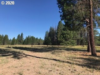 Kelley Road, Unit 4 Glenwood, WA 98619 - Photo 6 of 10 Gallery Image 6