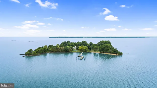 a view of a lake with a mountain in the background