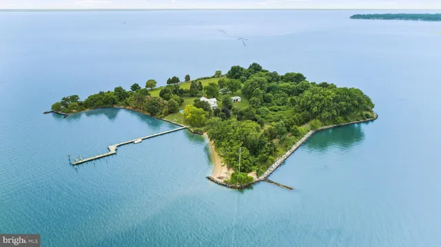 a view of a plant in a garden