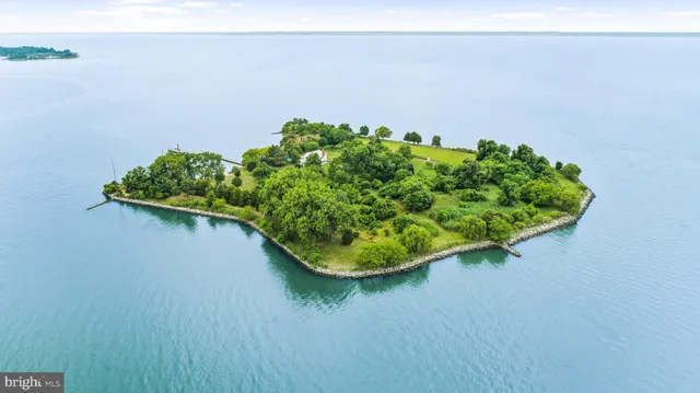 a view of a garden with a bench