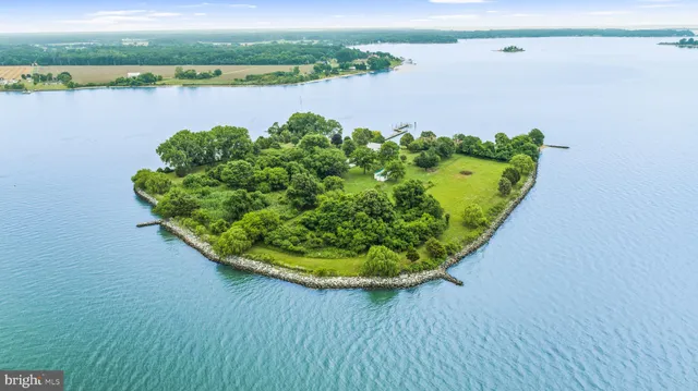 a view of a lake with a wooden floor