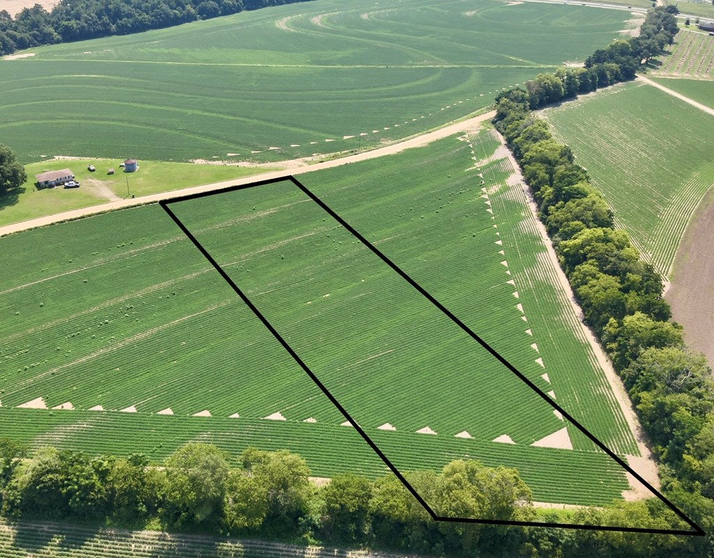 2.83-acres Burdeshaw Road Dothan, AL 36301 - Photo 10 of 11