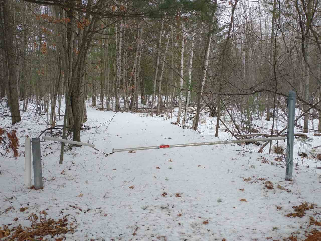 40-acres Sugar River Road Gladwin, MI 48624 - Photo 28 of 33