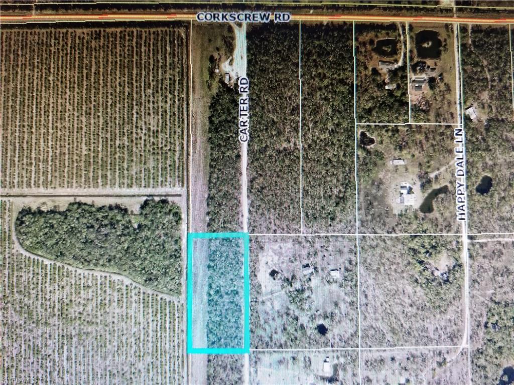 0 Carter Road Estero, FL 33928 - Photo 2 of 3 Gallery Image 2