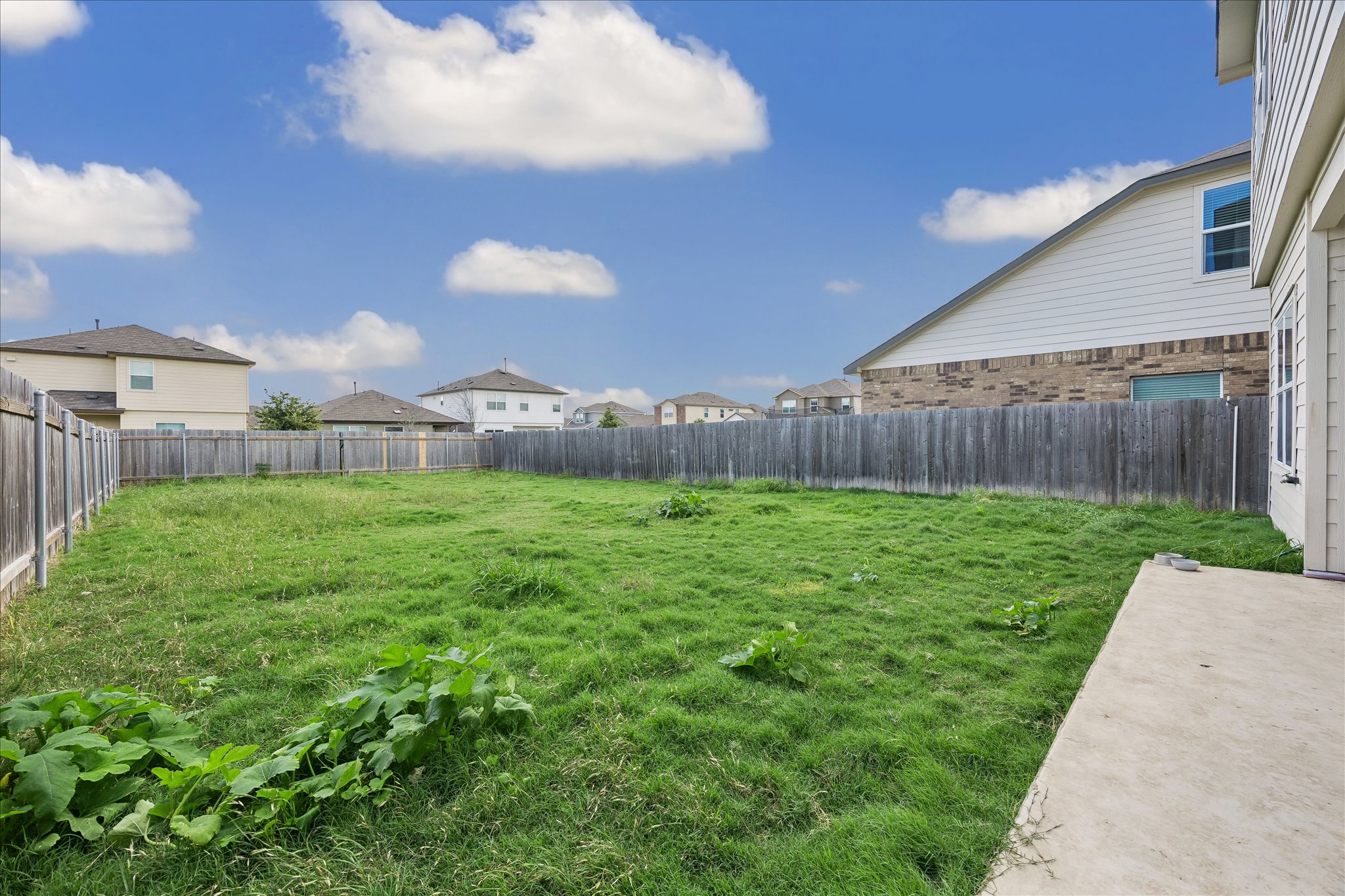 217 Canley Loop Hutto, TX 78634 - Photo 32 of 36 A spacious, enclosed backyard offers a blank canvas for outdoor living, bordered by a robust wooden fence.